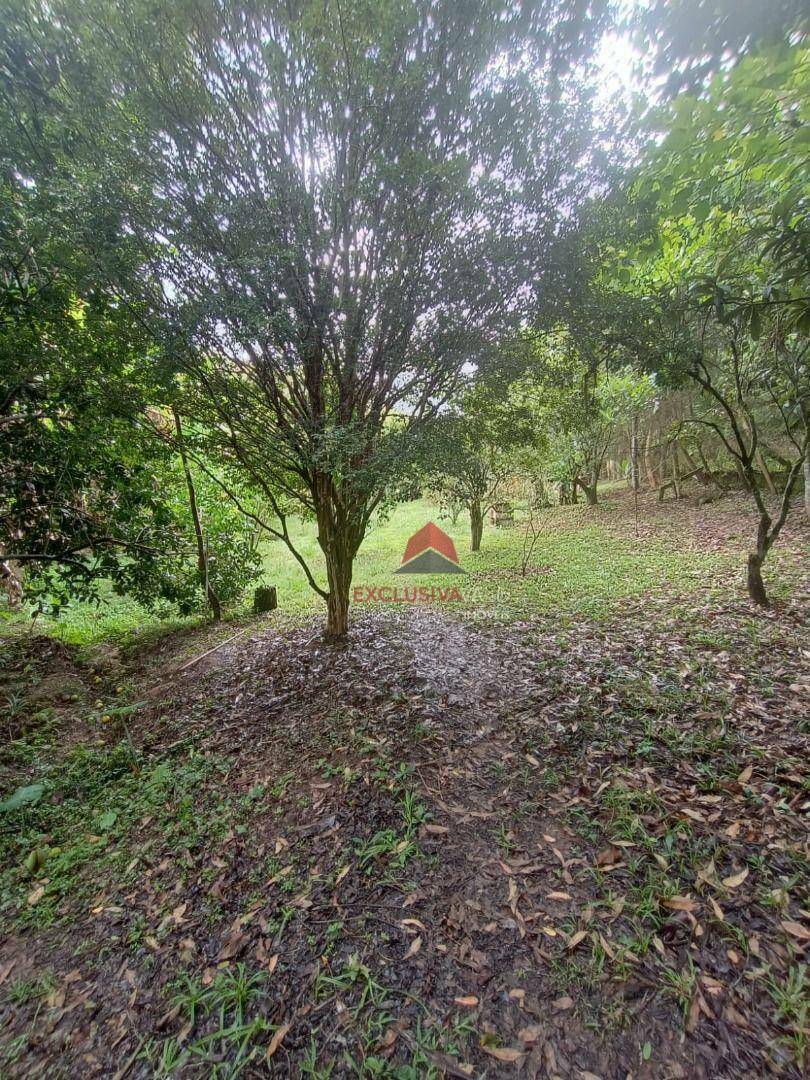 Chácara à venda com 2 quartos, 3500M2 - Foto 32