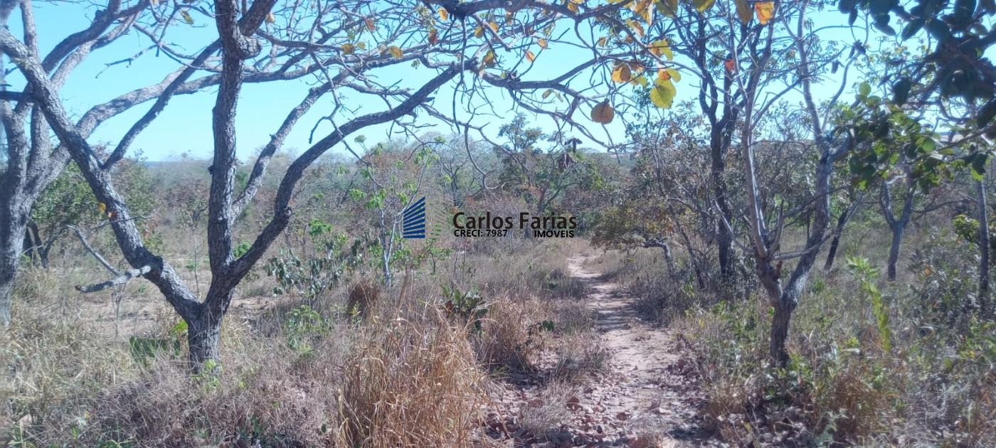 Chácara à venda, 20000m² - Foto 19