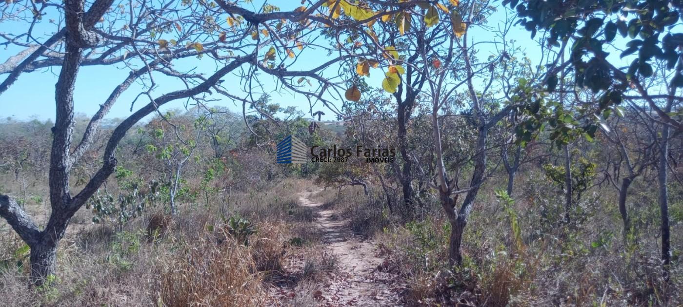 Chácara à venda, 20000m² - Foto 23