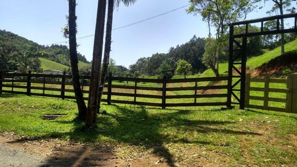 Sítio à venda com 3 quartos, 900m² - Foto 61