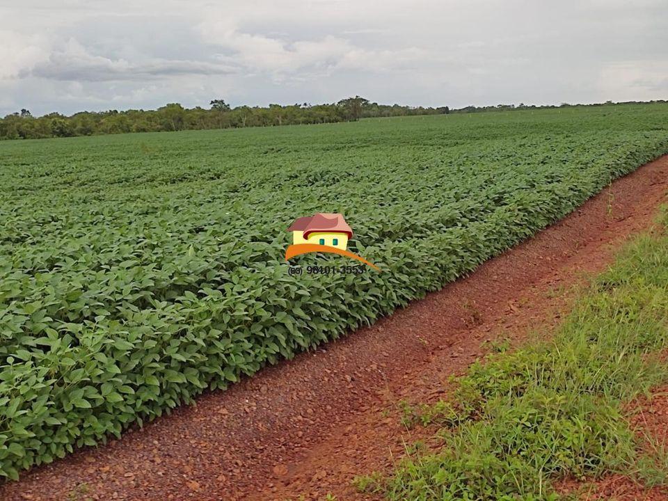 Fazenda à venda, 1m² - Foto 2