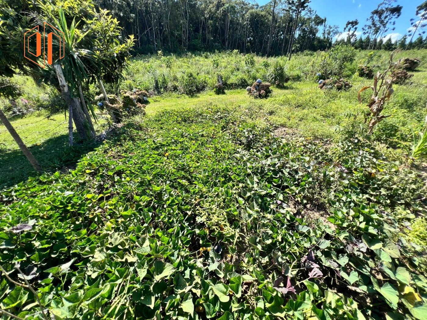 Chácara à venda, 6050m² - Foto 24