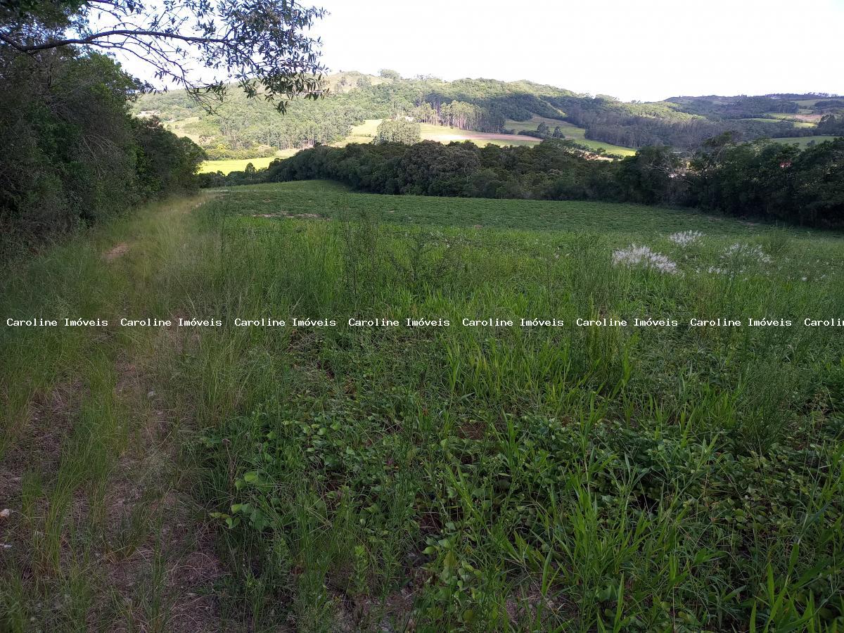 Sítio à venda, 250000m² - Foto 14