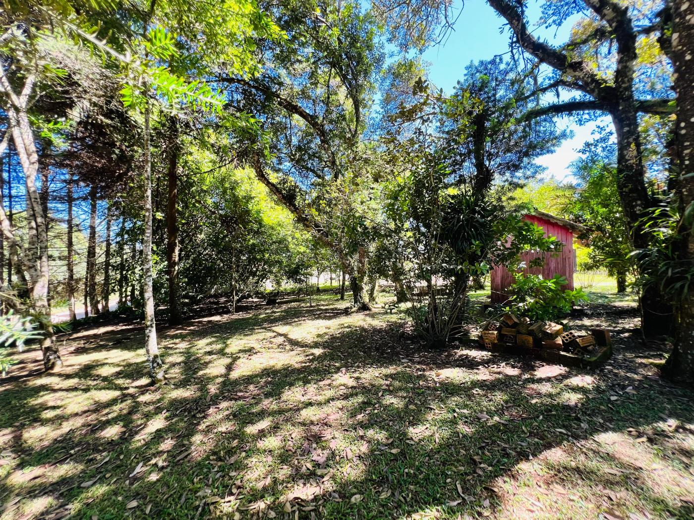 Chácara à venda, 6000m² - Foto 30