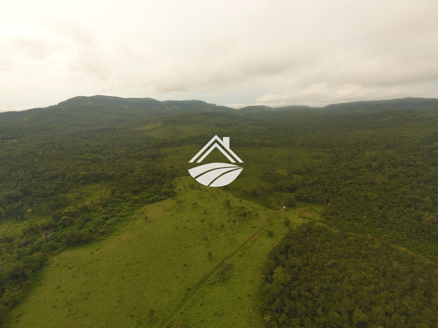 Fazenda à venda, 1m² - Foto 6