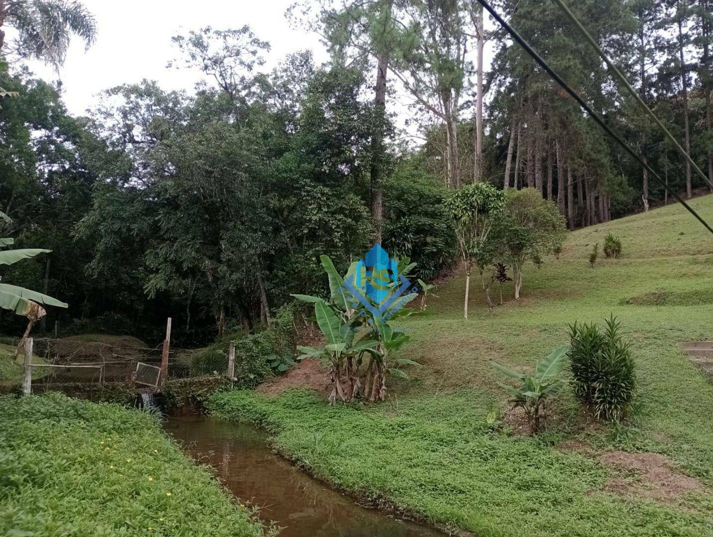Chácara à venda com 2 quartos, 4000M2 - Foto 9
