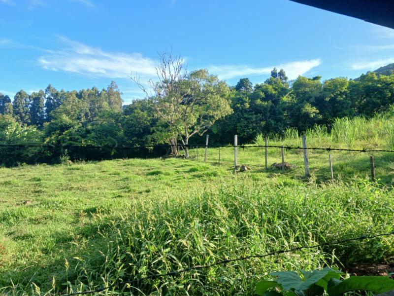 Sítio à venda com 1 quarto, 150m² - Foto 35