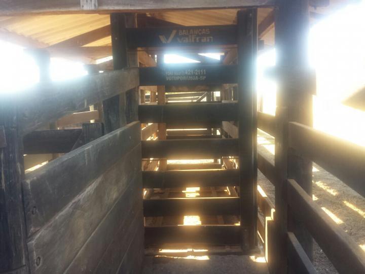 Fazenda à venda com 3 quartos - Foto 23