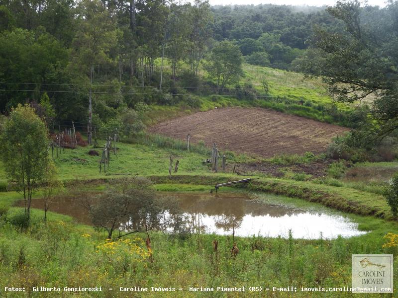 Sítio à venda com 3 quartos, 60000m² - Foto 6