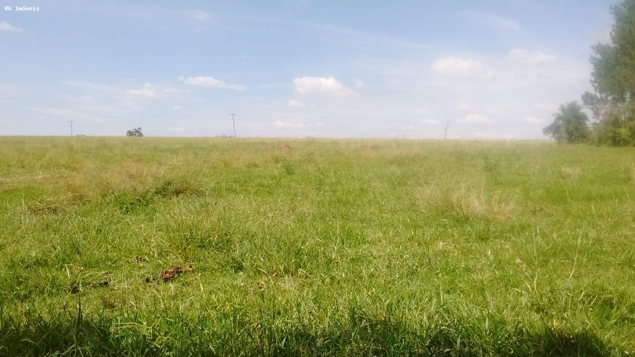 Fazenda à venda com 3 quartos, 3581600m² - Foto 15