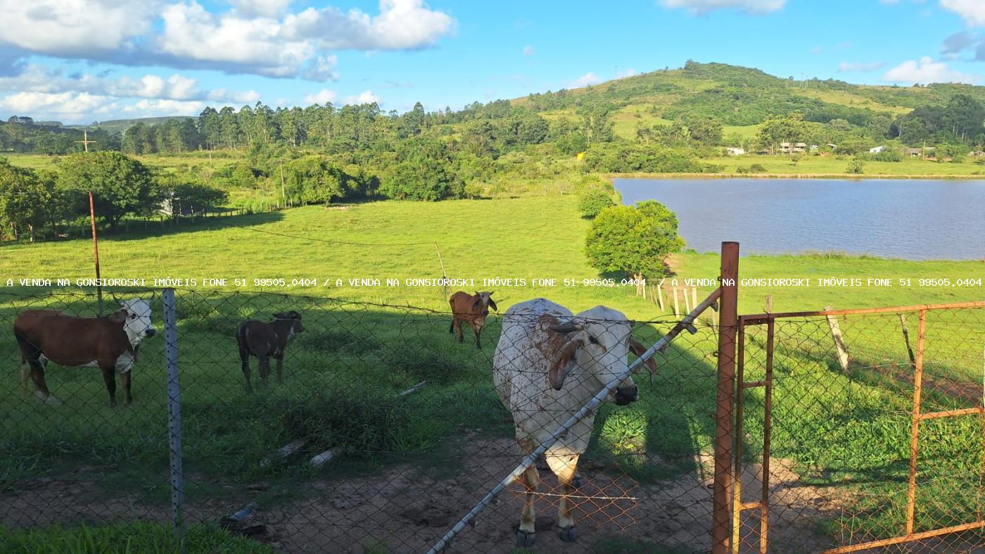 Sítio à venda com 2 quartos, 14500m² - Foto 1