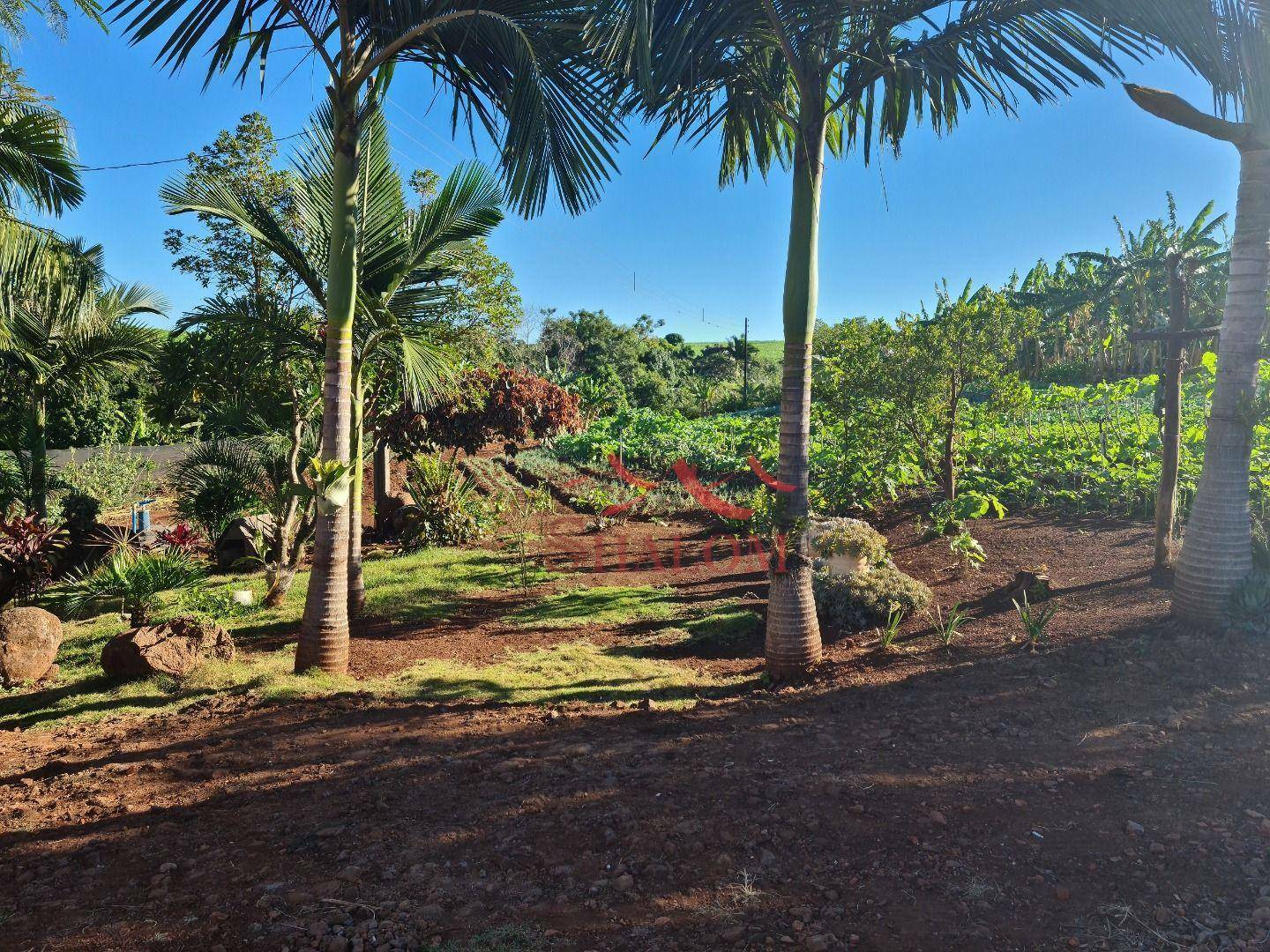 Chácara à venda com 4 quartos, 300m² - Foto 1