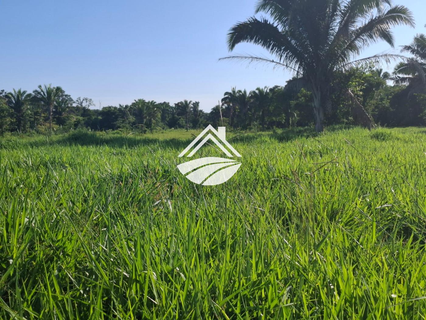 Fazenda à venda, 1m² - Foto 18