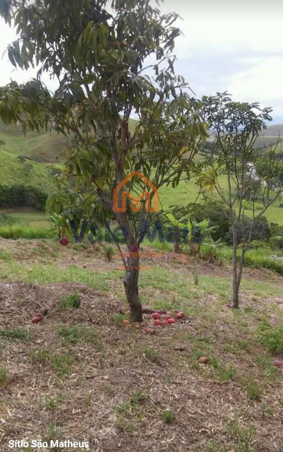 Chácara à venda com 4 quartos, 20000m² - Foto 7