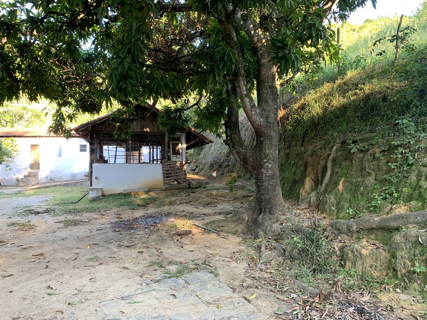 Sítio à venda com 3 quartos, 500m² - Foto 46