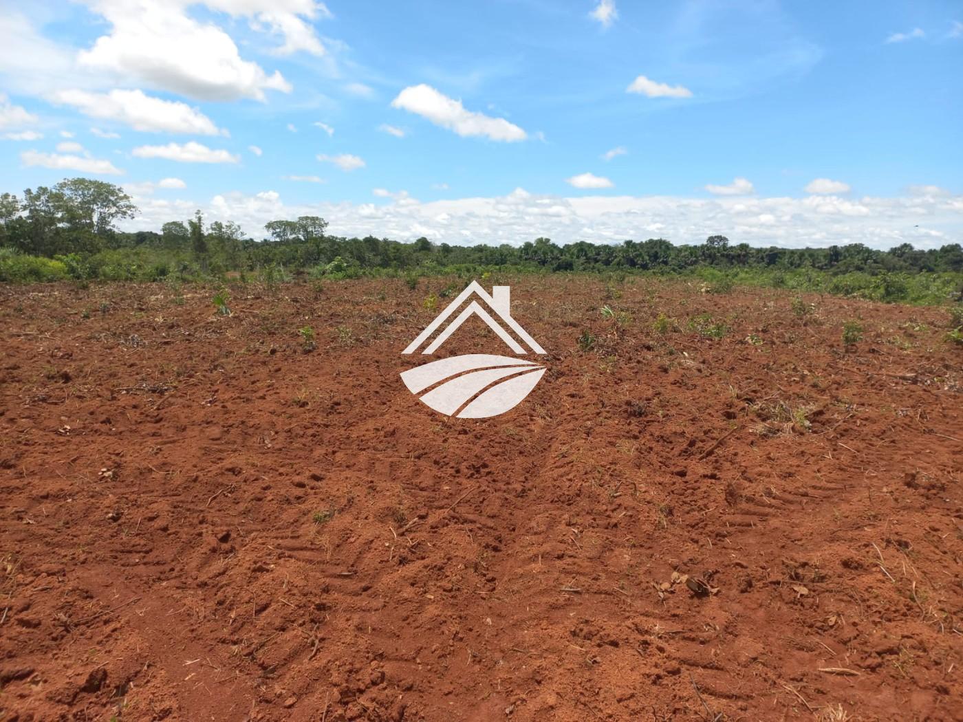 Fazenda à venda, 1m² - Foto 22