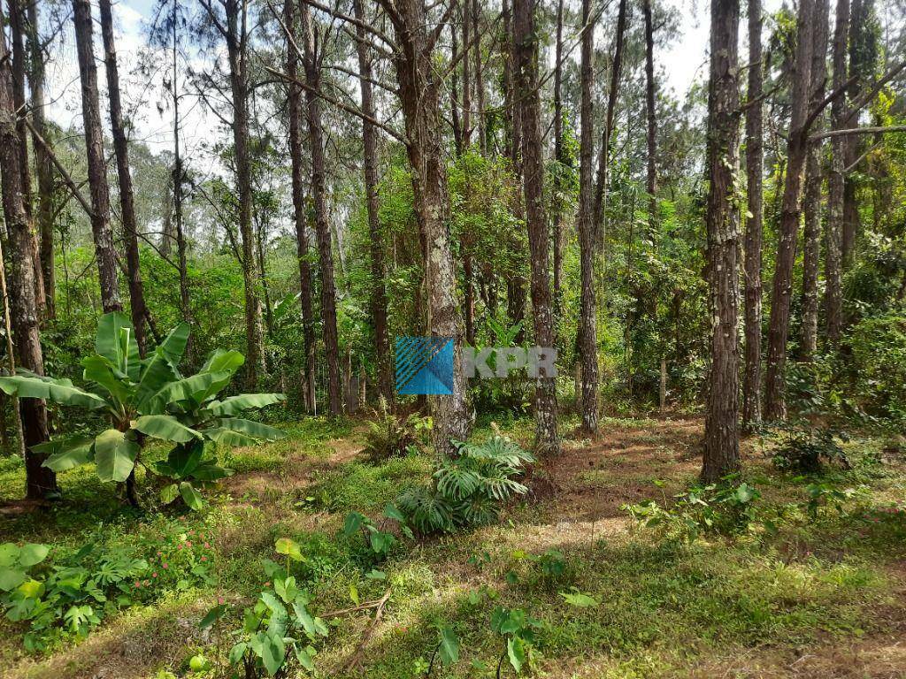 Loteamento e Condomínio à venda, 5000M2 - Foto 5