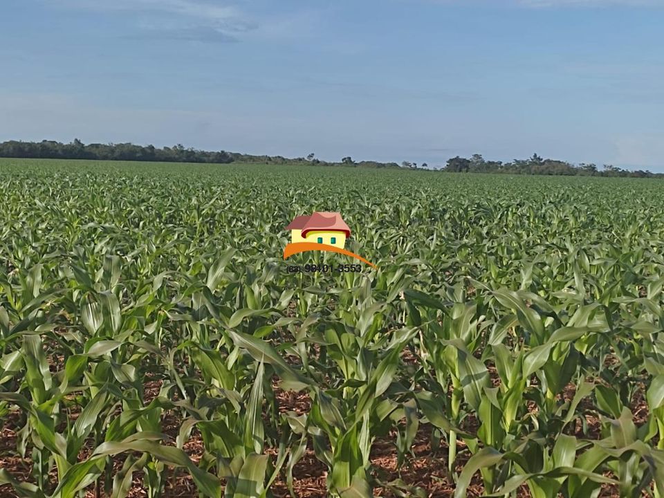 Fazenda à venda, 1m² - Foto 39