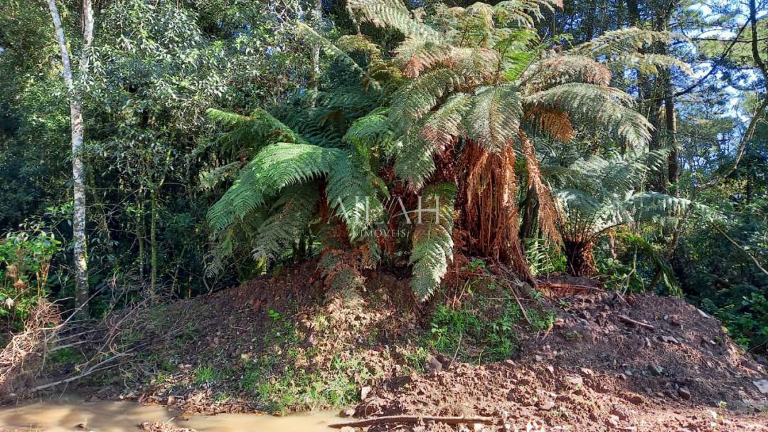 Terreno à venda, 750m² - Foto 6