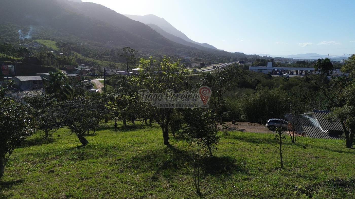 Sítio à venda com 3 quartos, 9659m² - Foto 51