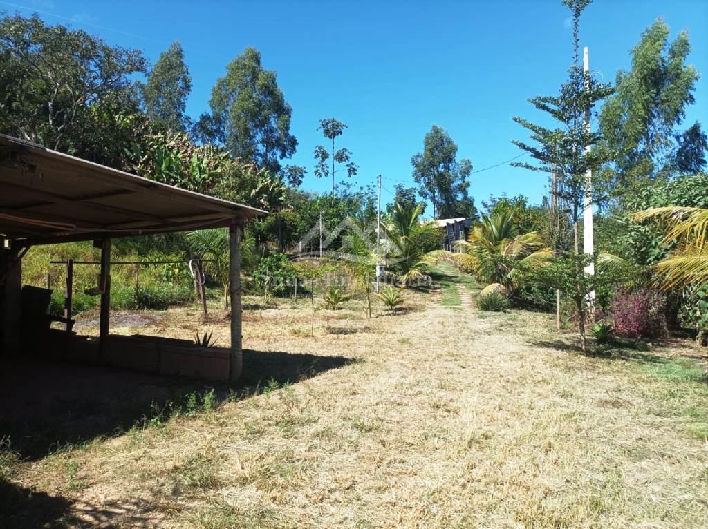 Sítio à venda com 1 quarto, 8000m² - Foto 5