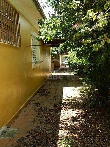 Terreno à venda e aluguel, 600m² - Foto 4