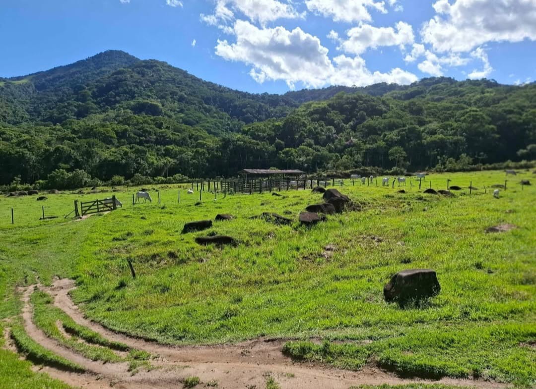 Fazenda à venda com 3 quartos, 260m² - Foto 12