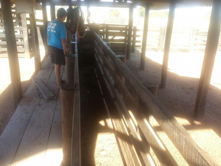 Fazenda à venda com 3 quartos - Foto 21