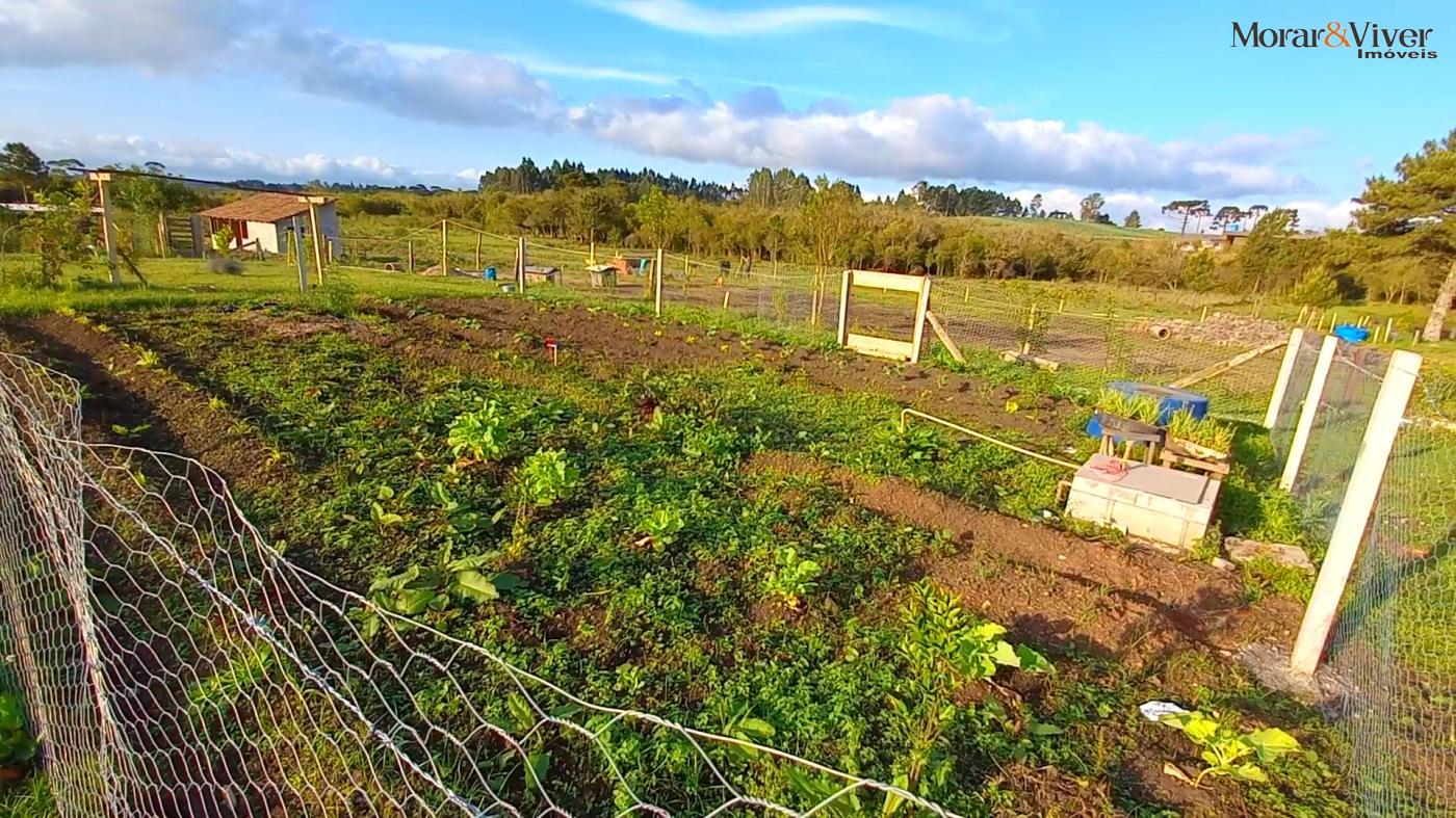 Chácara à venda, 32800m² - Foto 14