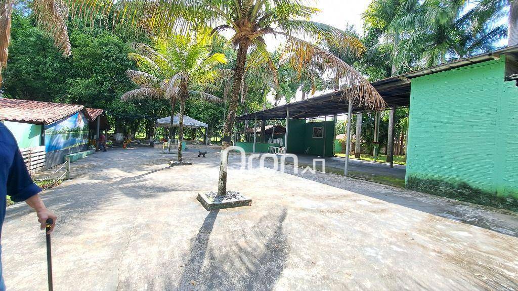 Chácara à venda com 4 quartos, 46000M2 - Foto 8