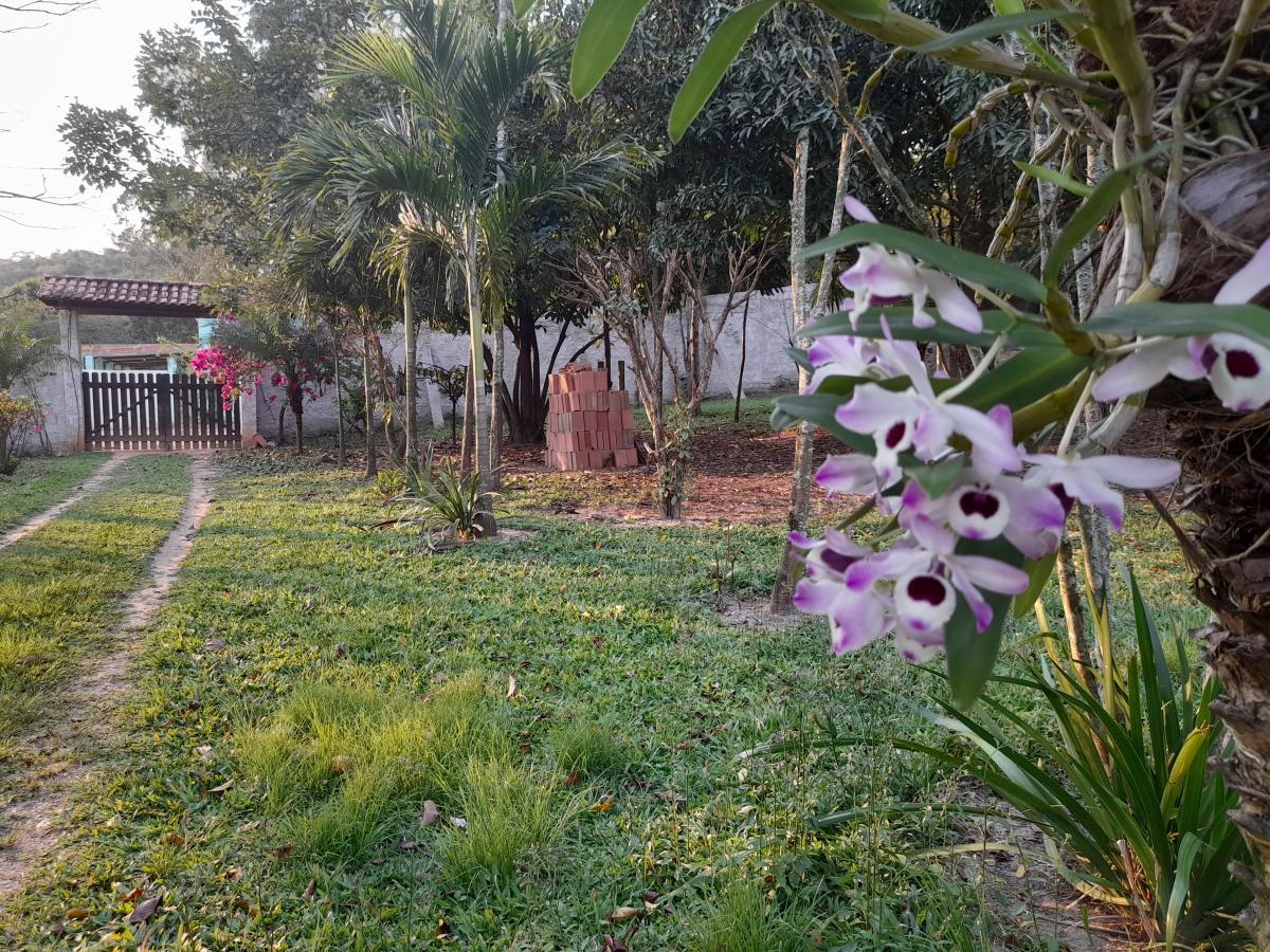 Chácara à venda com 2 quartos, 4000m² - Foto 15