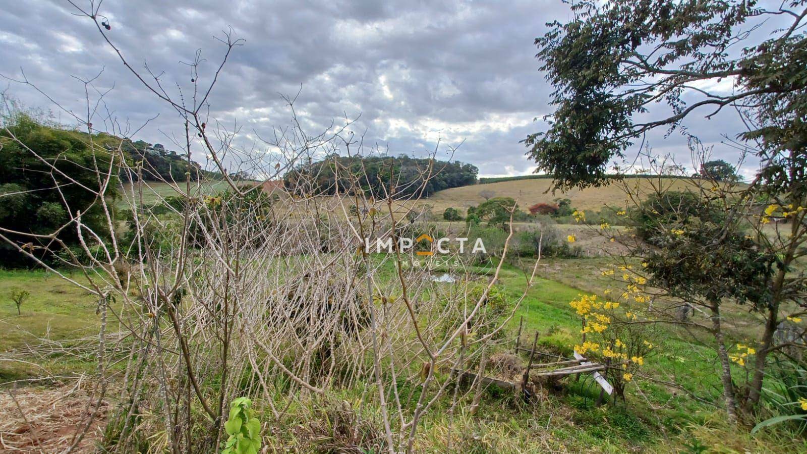 Chácara à venda com 1 quarto, 6000M2 - Foto 10