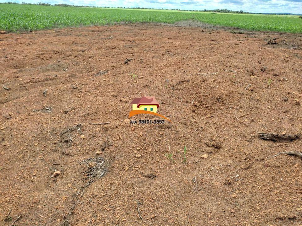 Fazenda à venda, 1m² - Foto 7