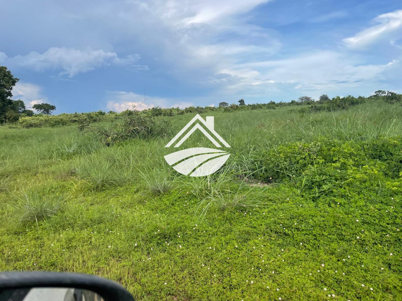 Fazenda para alugar, 1m² - Foto 8