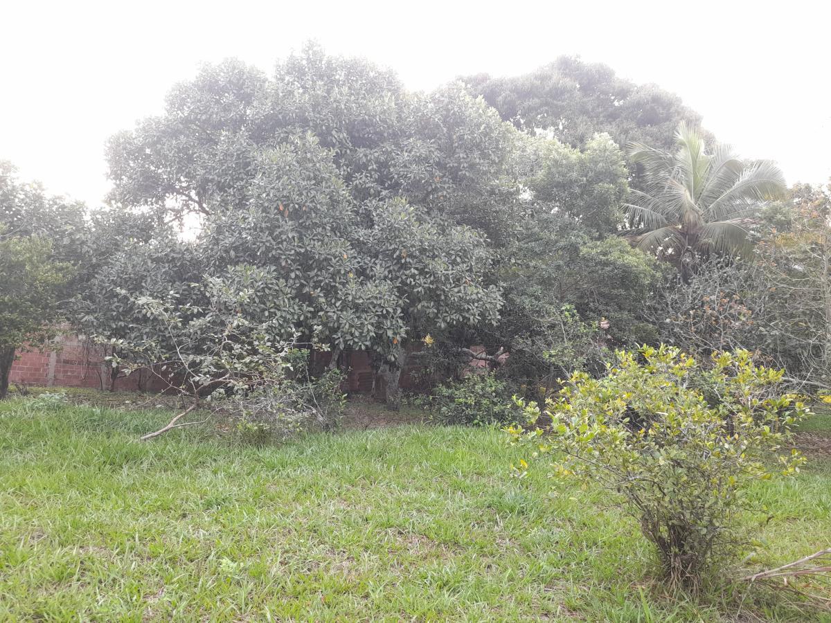 Chácara à venda com 2 quartos, 4000m² - Foto 11
