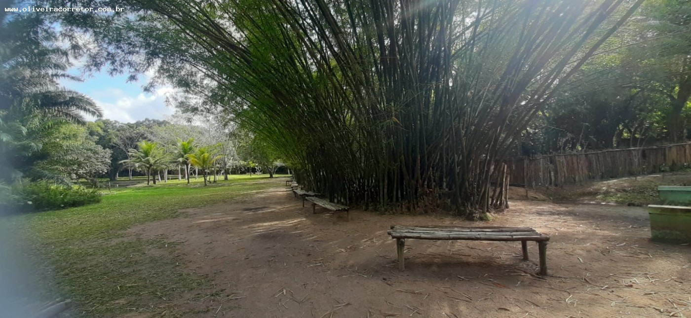 Chácara à venda com 30 quartos, 40000m² - Foto 23