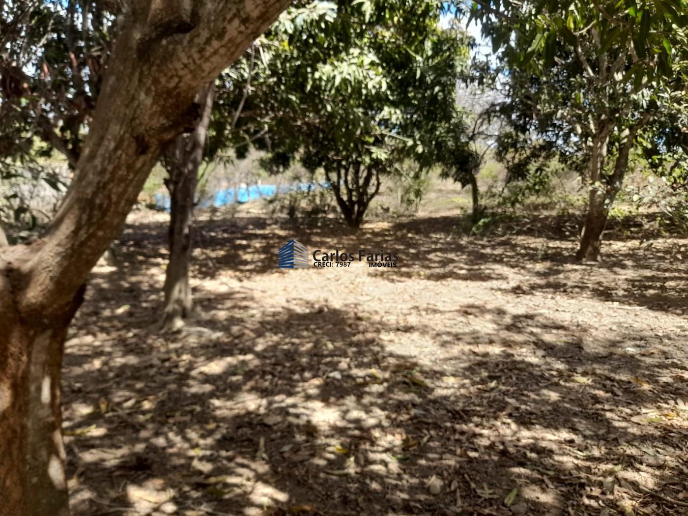 Chácara à venda com 4 quartos, 390m² - Foto 15
