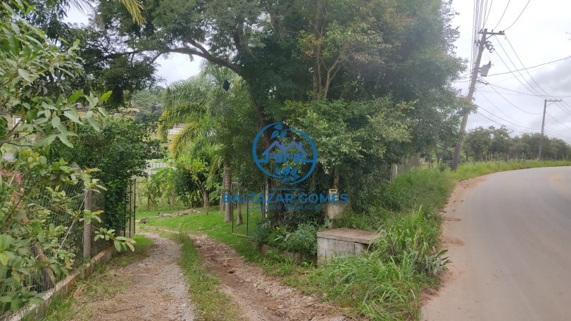 Chácara para alugar com 2 quartos, 4000m² - Foto 8