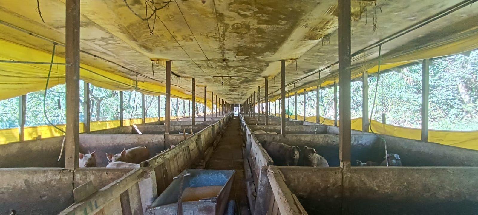 Loteamento e Condomínio à venda, 167000m² - Foto 42