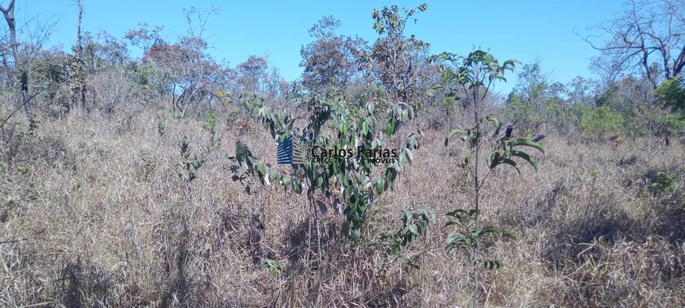 Chácara à venda, 20000m² - Foto 24