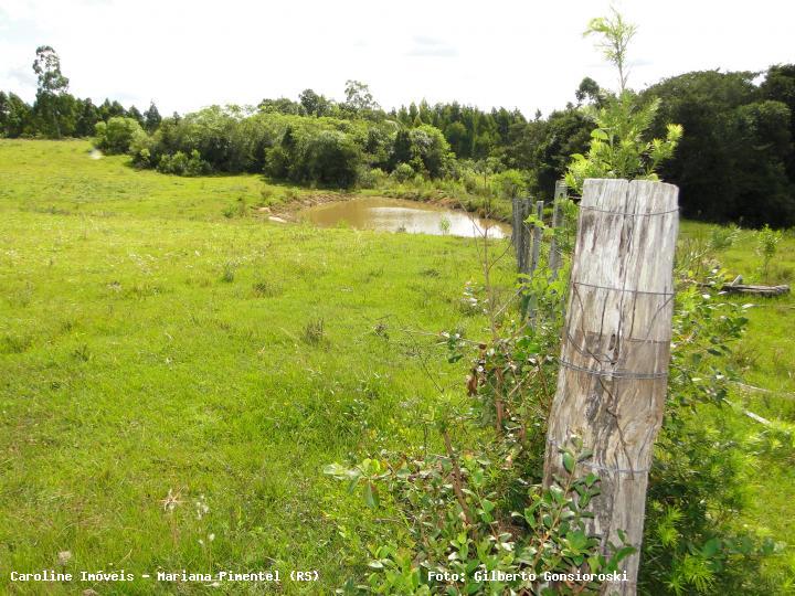 Chácara à venda com 3 quartos, 160000m² - Foto 19