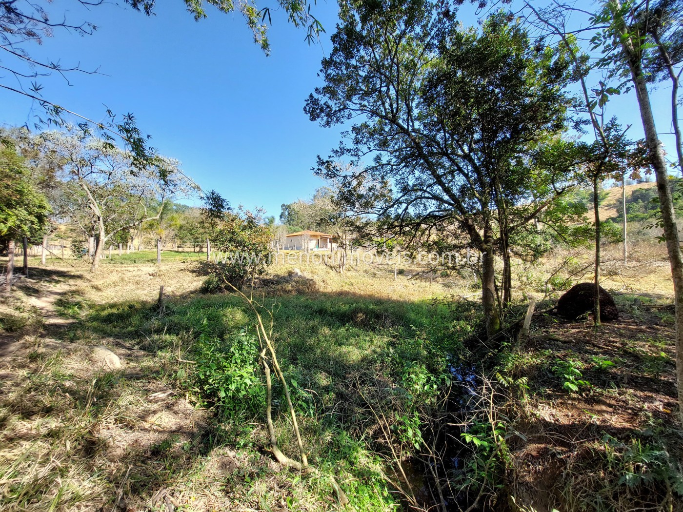 Sítio à venda com 2 quartos, 24000m² - Foto 9