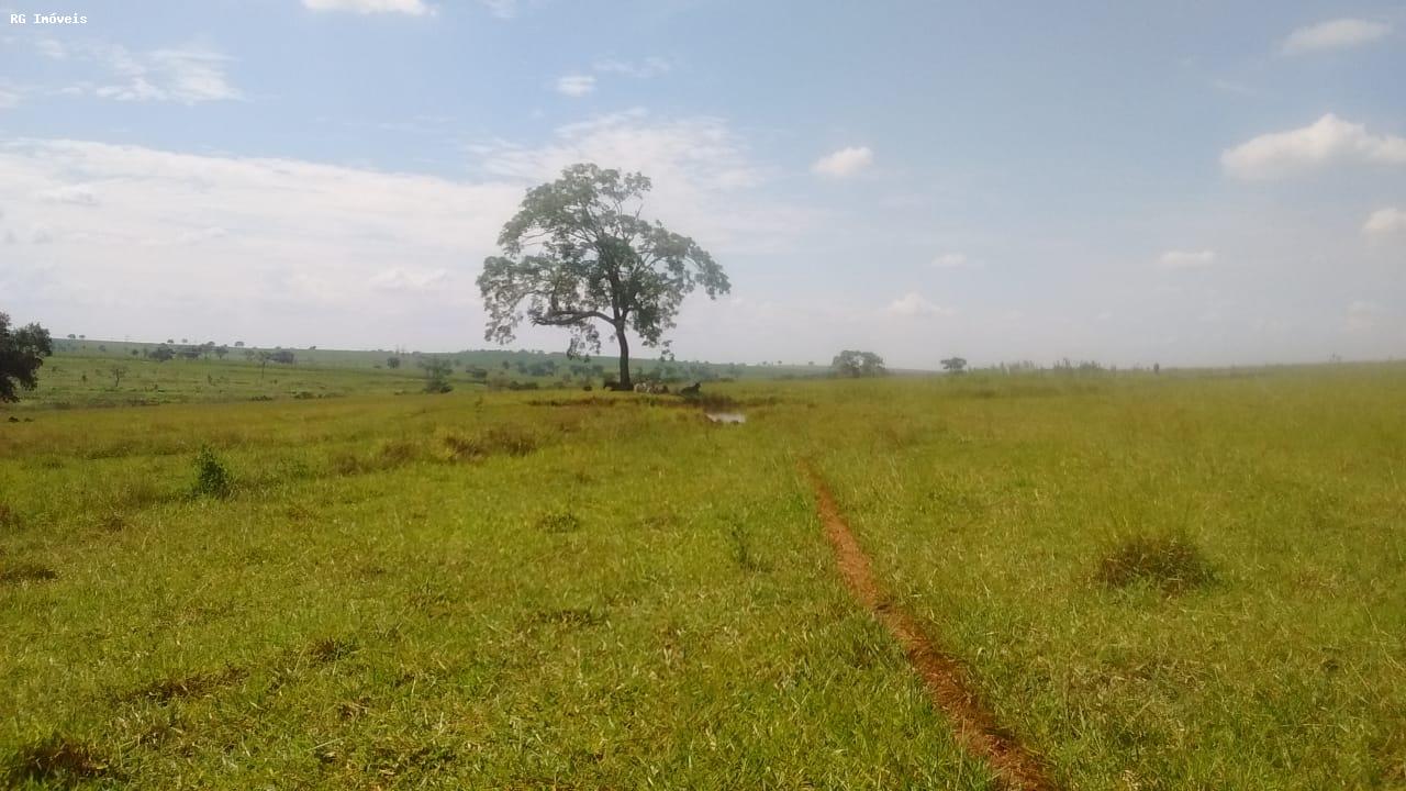 Fazenda à venda com 3 quartos, 3581600m² - Foto 14