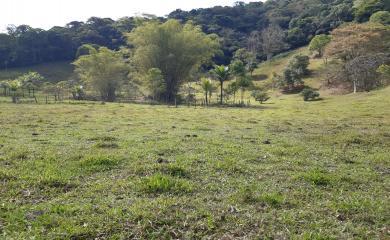 Sítio à venda com 5 quartos, 150000m² - Foto 6