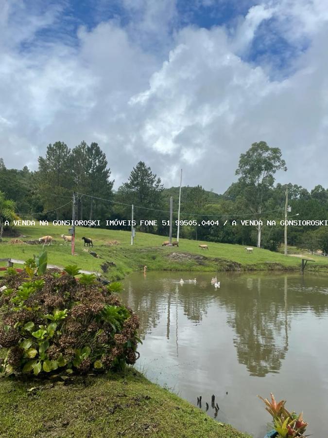 Chácara à venda com 4 quartos, 130000m² - Foto 33