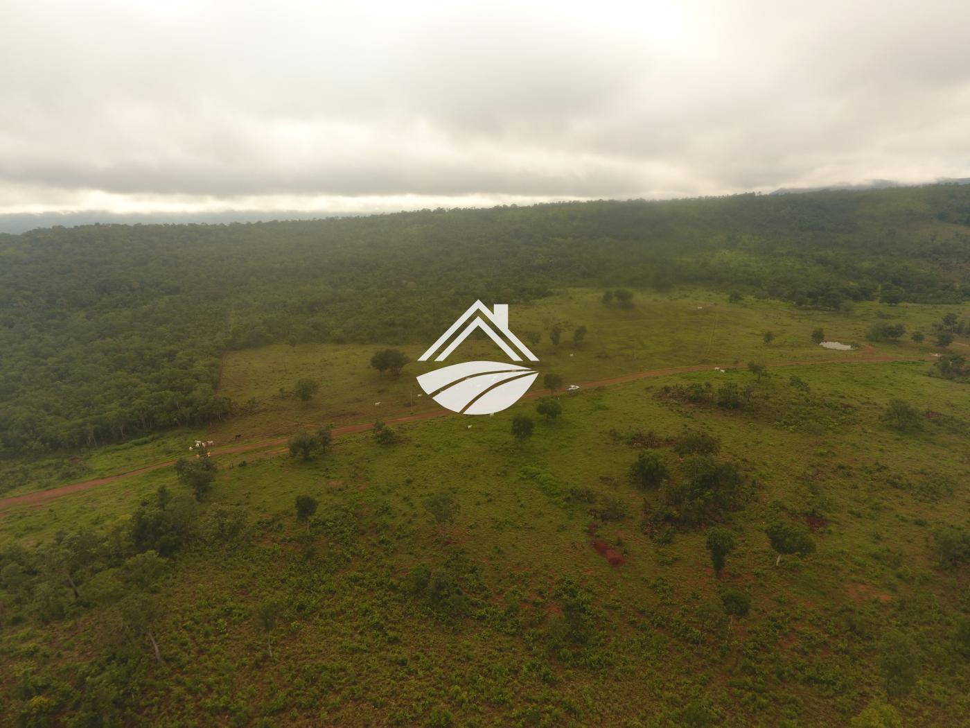 Fazenda à venda, 1m² - Foto 10