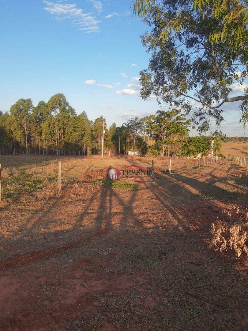 Sítio à venda com 3 quartos, 180m² - Foto 14