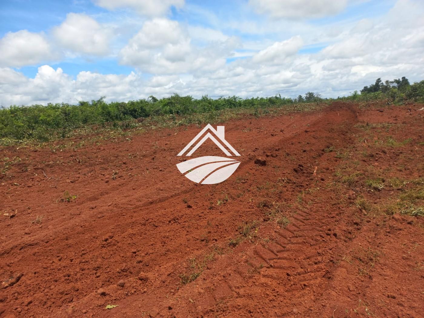 Fazenda à venda, 1m² - Foto 1