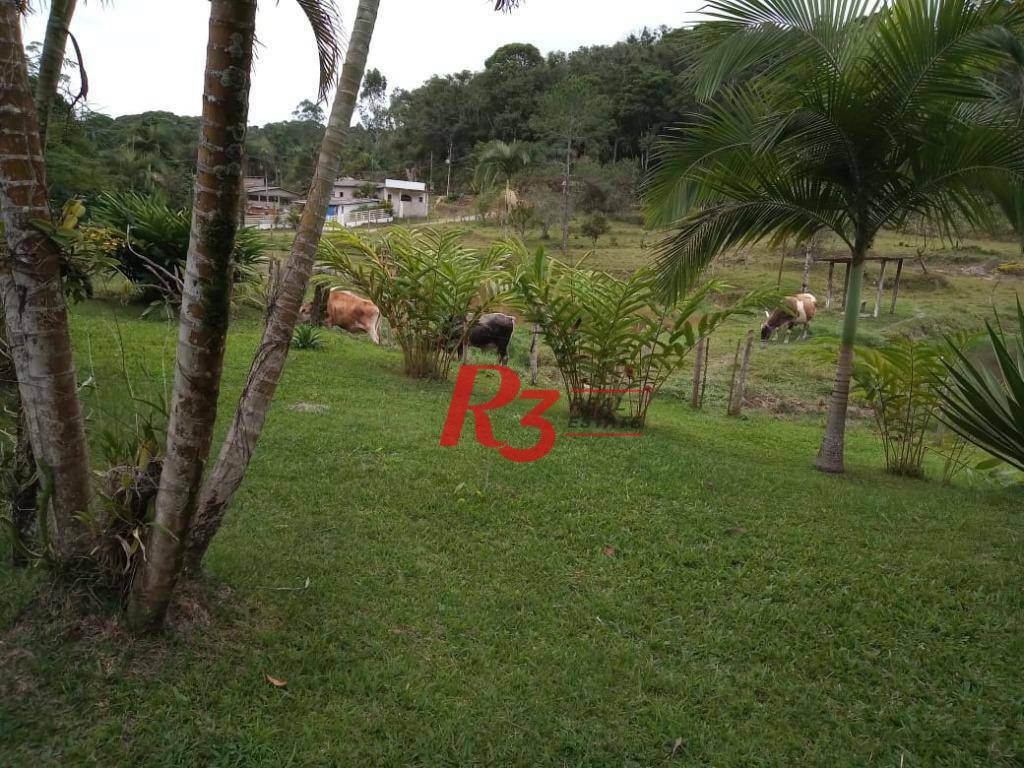 Sítio à venda com 5 quartos, 750m² - Foto 37