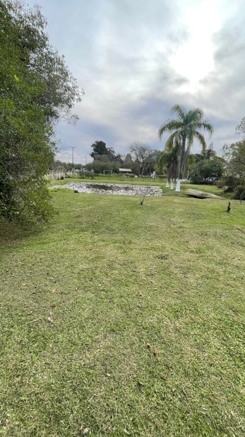 Sítio à venda com 2 quartos, 3000m² - Foto 29